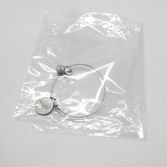 Alex and Ani San Francisco Charm Bangle Bracelet in Silver-Tone Finish - Picture 5 of 5